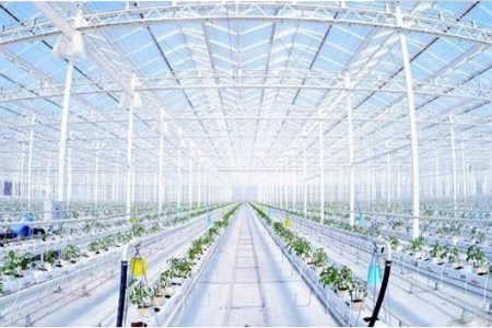 利用物联网技术，补偿传统农业弊端的现代农业，对植株的生长环境需求进行“精确”的定量，对产量进行有效率的制约，对质量更好的把关，农业物联网由感知层、传输层和处理层三部分构成
